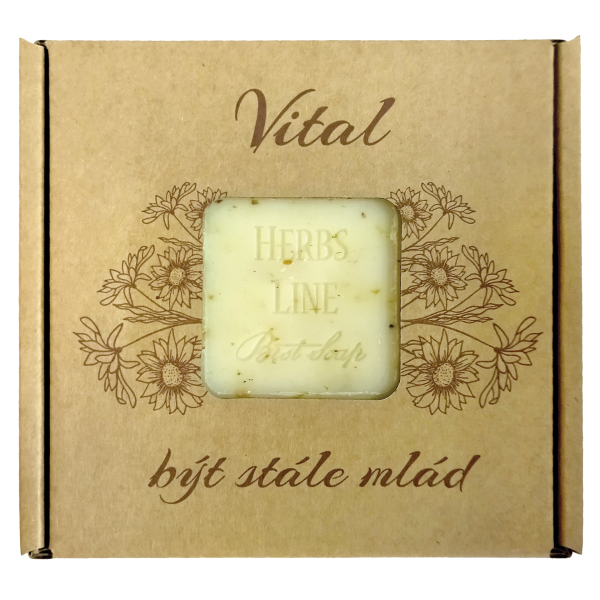 Přírodní mýdlo K-natur 100g VITAL